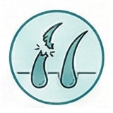 Hair Breakage