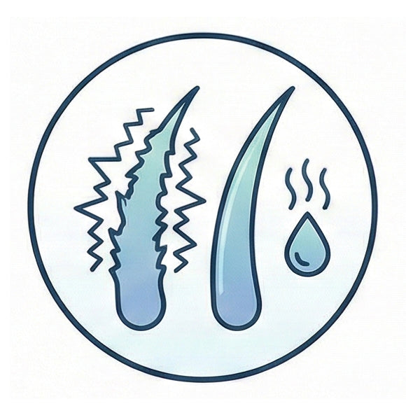 Humidity_Frizz_Summer_-2
