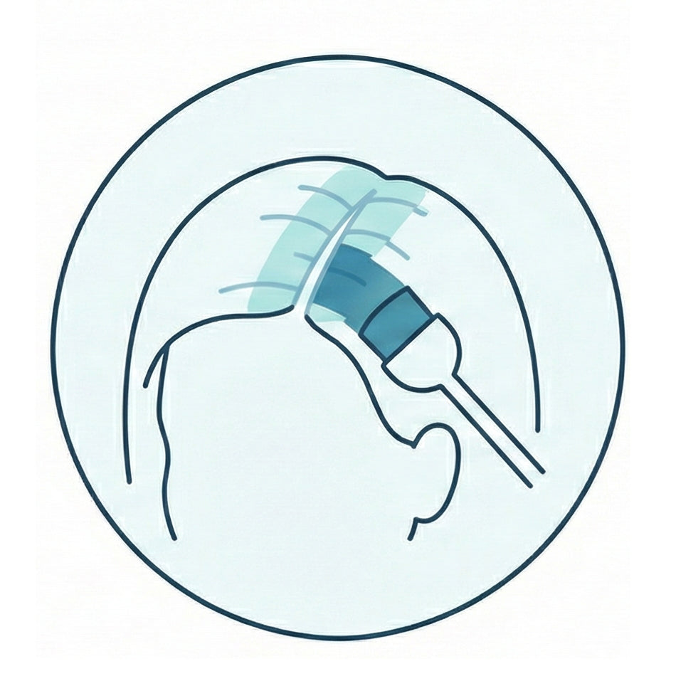 Root_Touch-Up